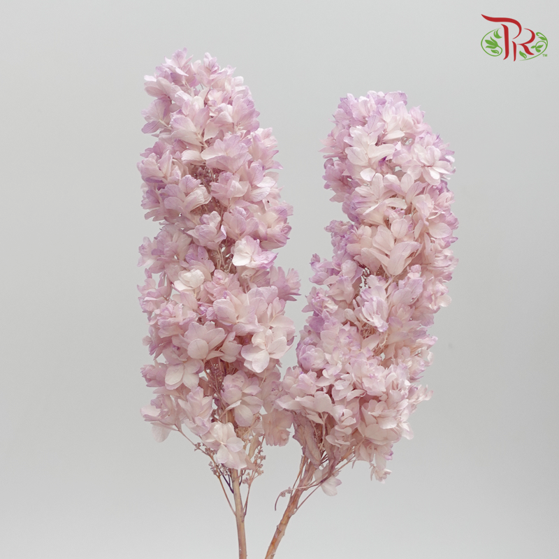 Preserved Hydrangea Snow Flake - Tone Purple (Per Stem) - Pudu Ria Florist