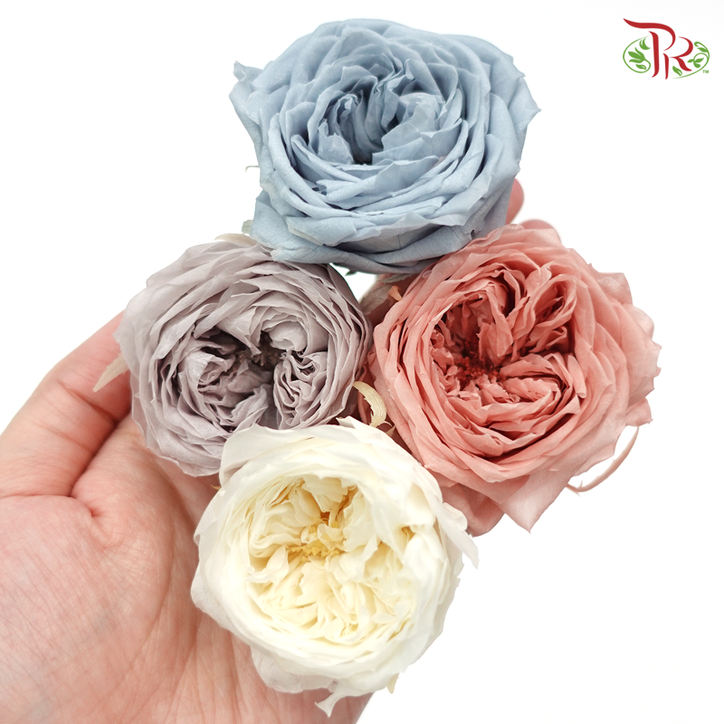 Rose Temari Preservative ( 0246-7-670 ) - Pudu Ria Florist