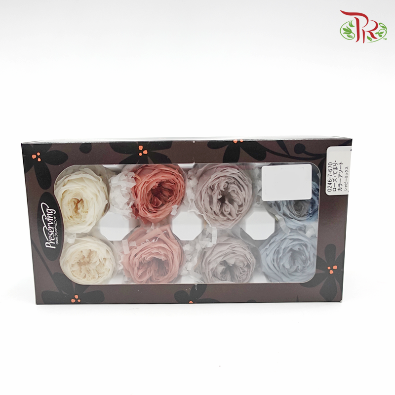 Rose Temari Preservative ( 0246-7-670 ) - Pudu Ria Florist