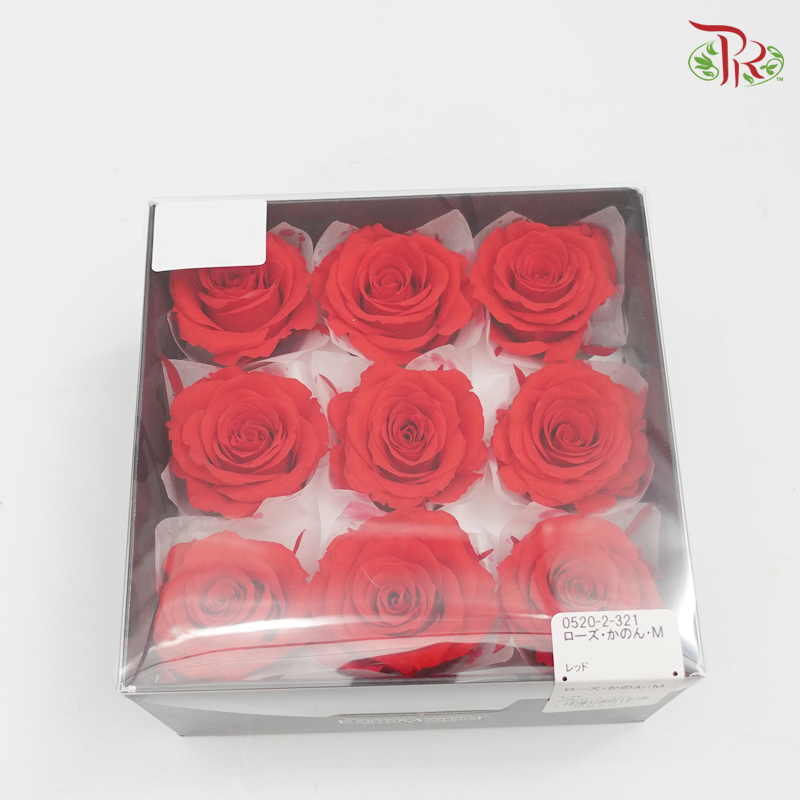 Rose Kanon M Preservative - Bright Red ( 0520-2-321 ) - Pudu Ria Florist