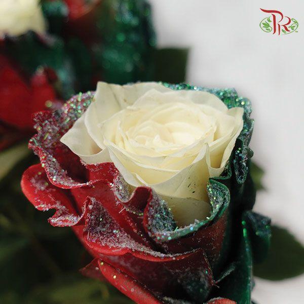 Ceres Rose - Xmas Candy (10 Stems) - Pudu Ria Florist