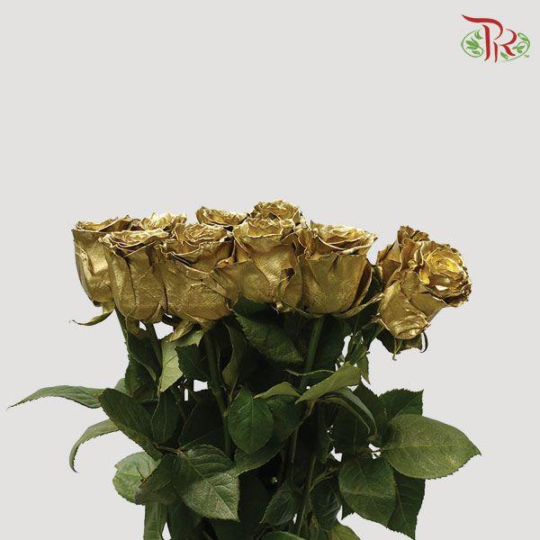 Ceres Rose - Gold (10 Stems) - Pudu Ria Florist