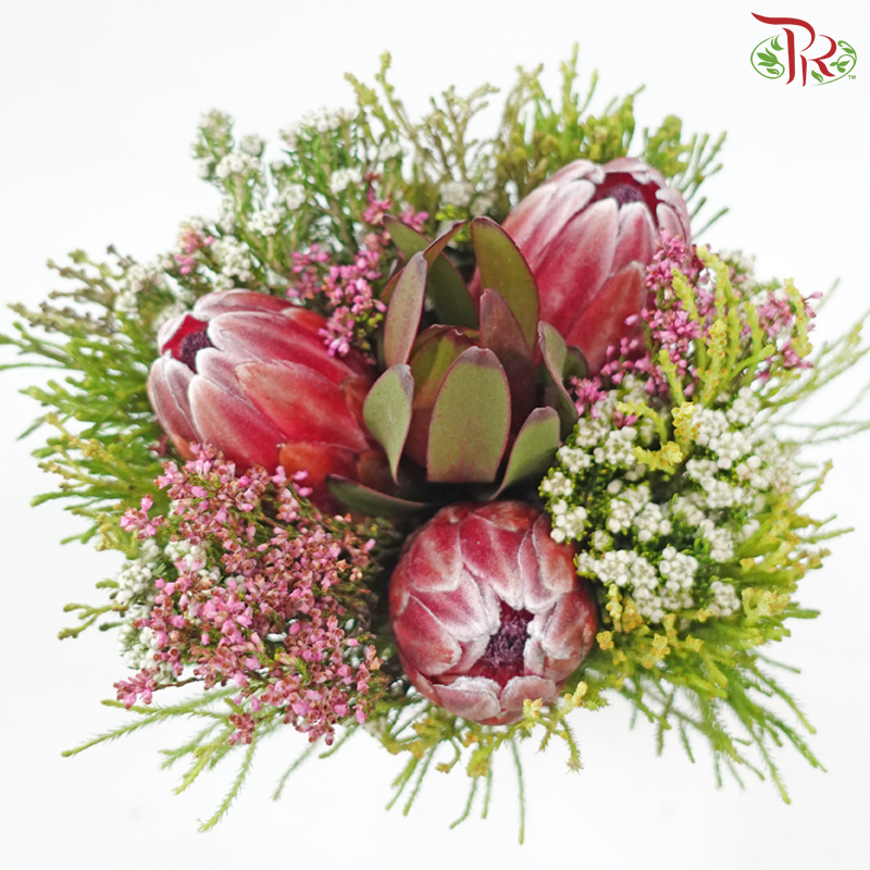 Safari Premium Bouquet ( Christmas Edition ) **Random Cone/Fillers