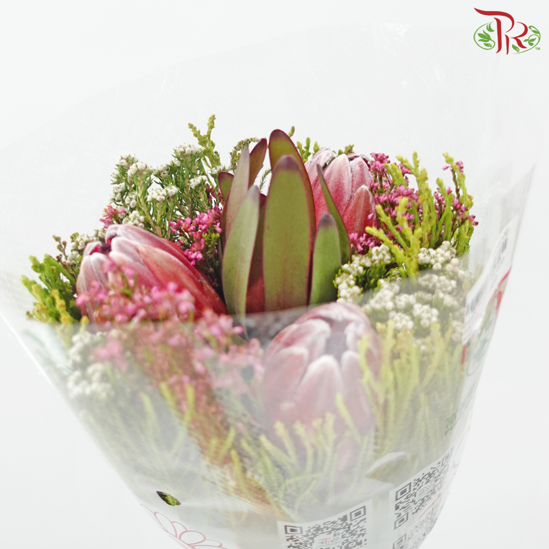 Safari Premium Bouquet ( Christmas Edition ) **Random Cone/Fillers