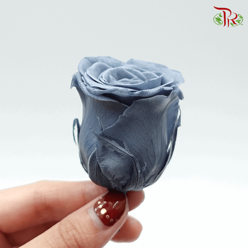 10 Bloom Rose - Grey-Grey-China-prflorist.com.my