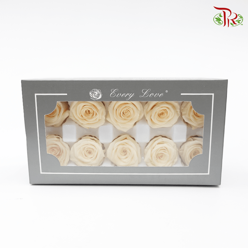 10 Bloom Rose - Light Yellow Cream-Cream-China-prflorist.com.my