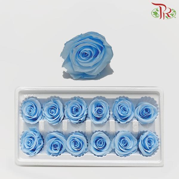 12 Bloom Rose - Blue-Blue-China-prflorist.com.my