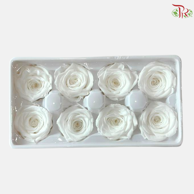 8 Blooms Preserved Rose
