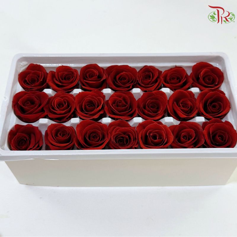 21 Blooms Preserved Rose