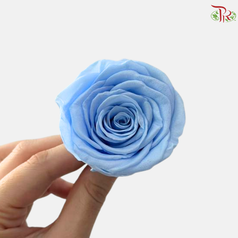 8 Blooms Preserved Rose