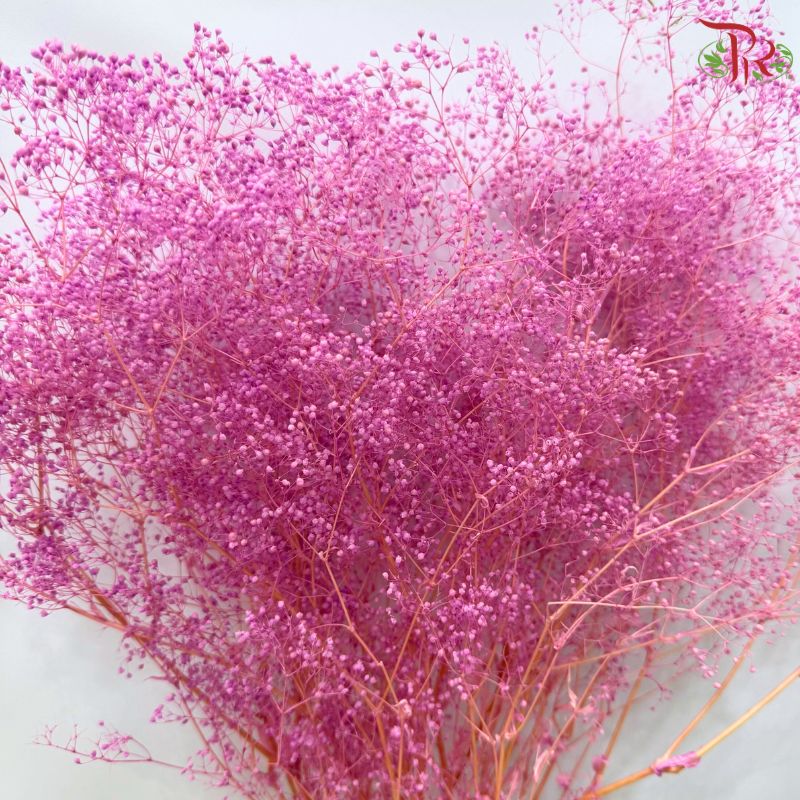 Preserved Million Stars