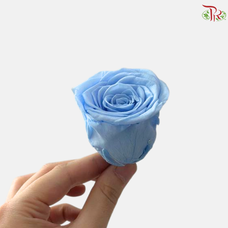 8 Blooms Preserved Rose