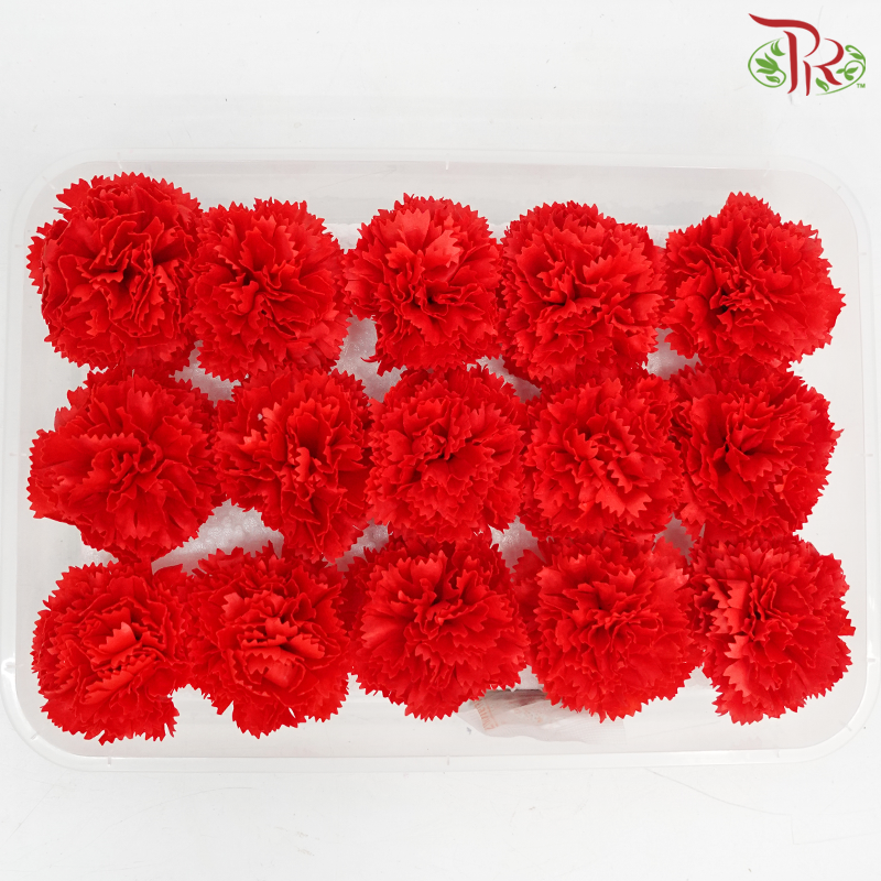 15 Bloom Carnations Soap Flower - Red-Red-Pudu Ria Florist-prflorist.com.my