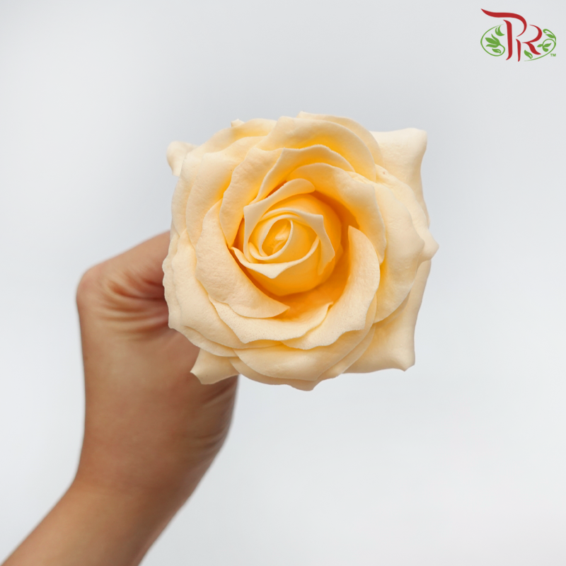 15 Bloom Roses Soap Flower - Orange-Orange-Pudu Ria Florist-prflorist.com.my