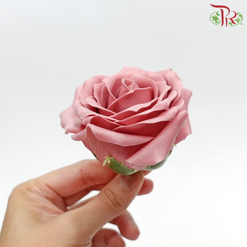 15 Bloom Roses Soap Flower - Pink-Pink-Pudu Ria Florist-prflorist.com.my