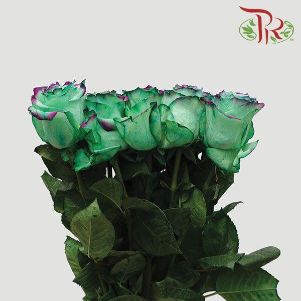 Ceres Rose - Lady Eva (10 Stems) - Pudu Ria Florist