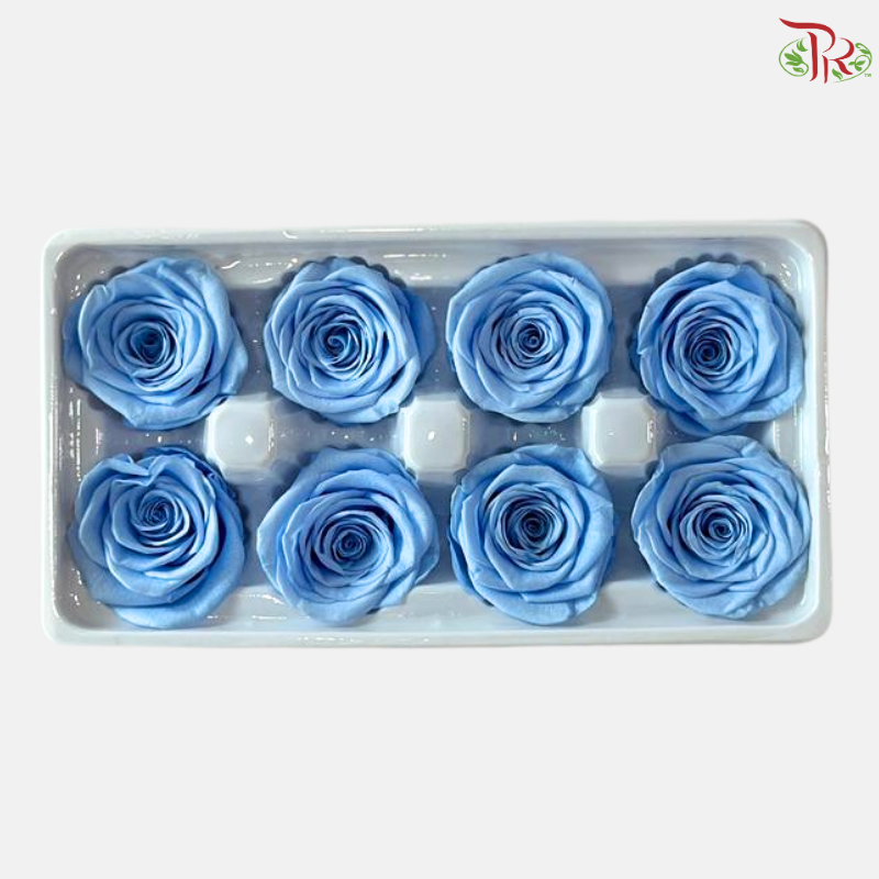 8 Blooms Preserved Rose