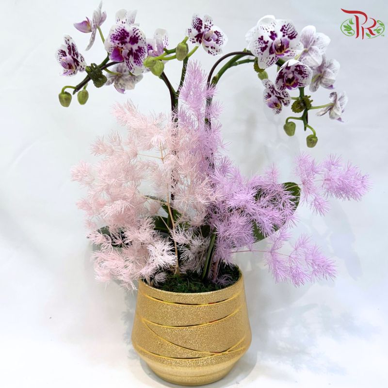 Deepavali Divine Serenity Orchid  Arrangement