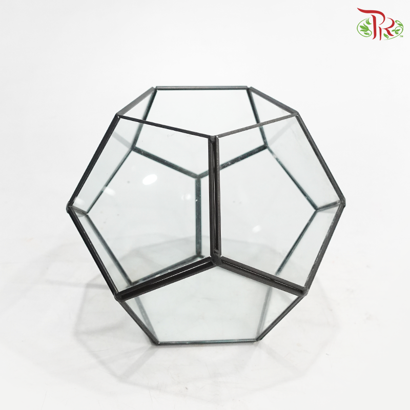 16Y1915J - Glass Hexagon Terrarium Vase