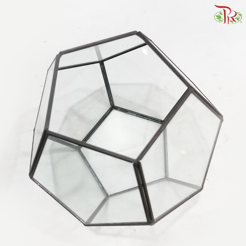 16Y1915J - Glass Hexagon Terrarium Vase