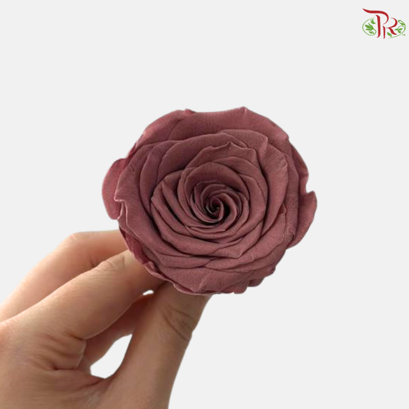 8 Blooms Preserved Rose