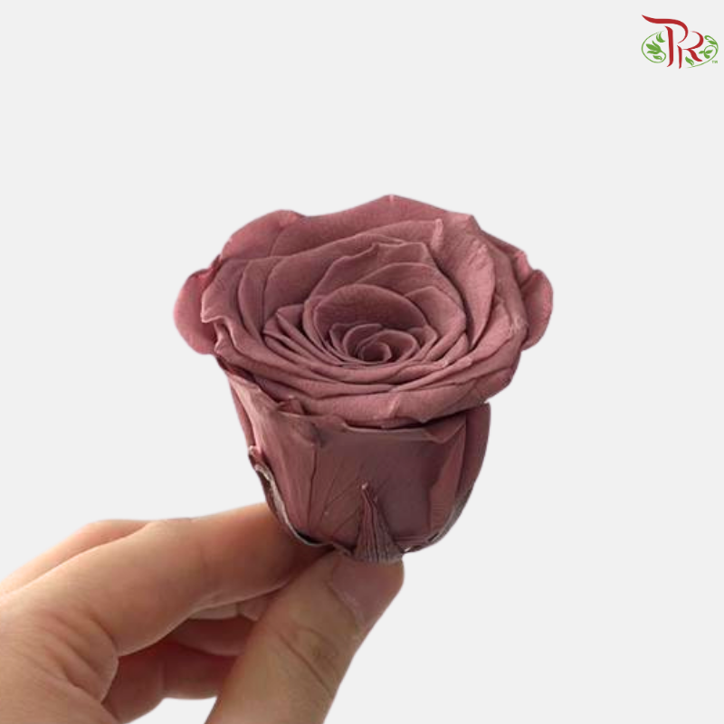 8 Blooms Preserved Rose