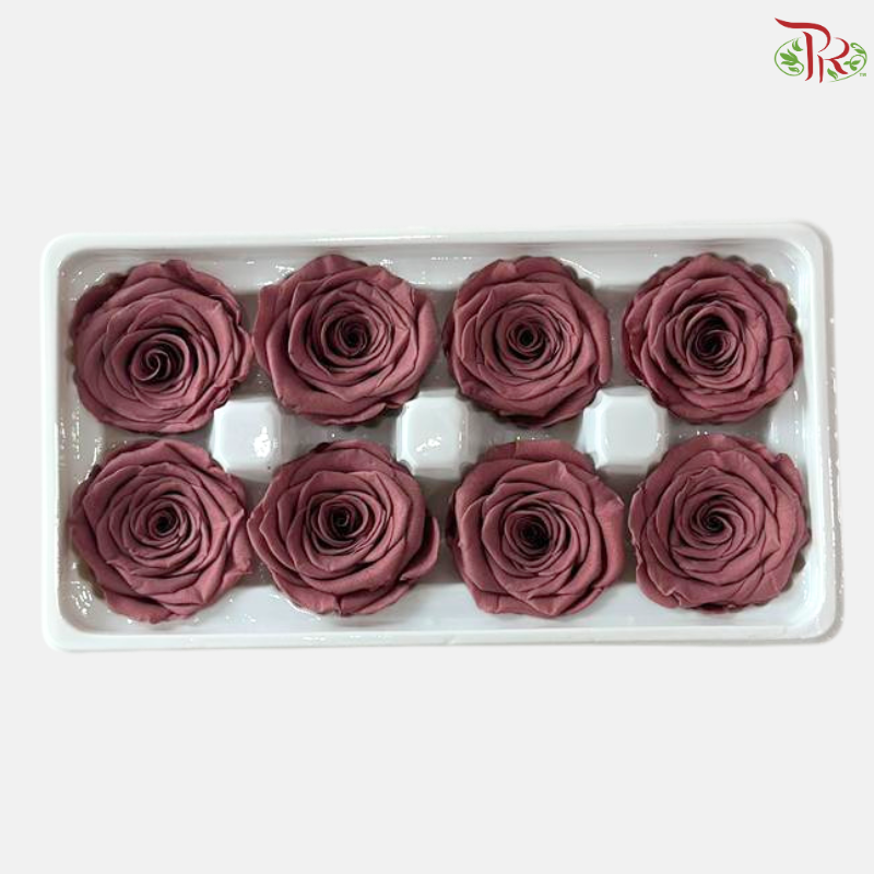 8 Blooms Preserved Rose
