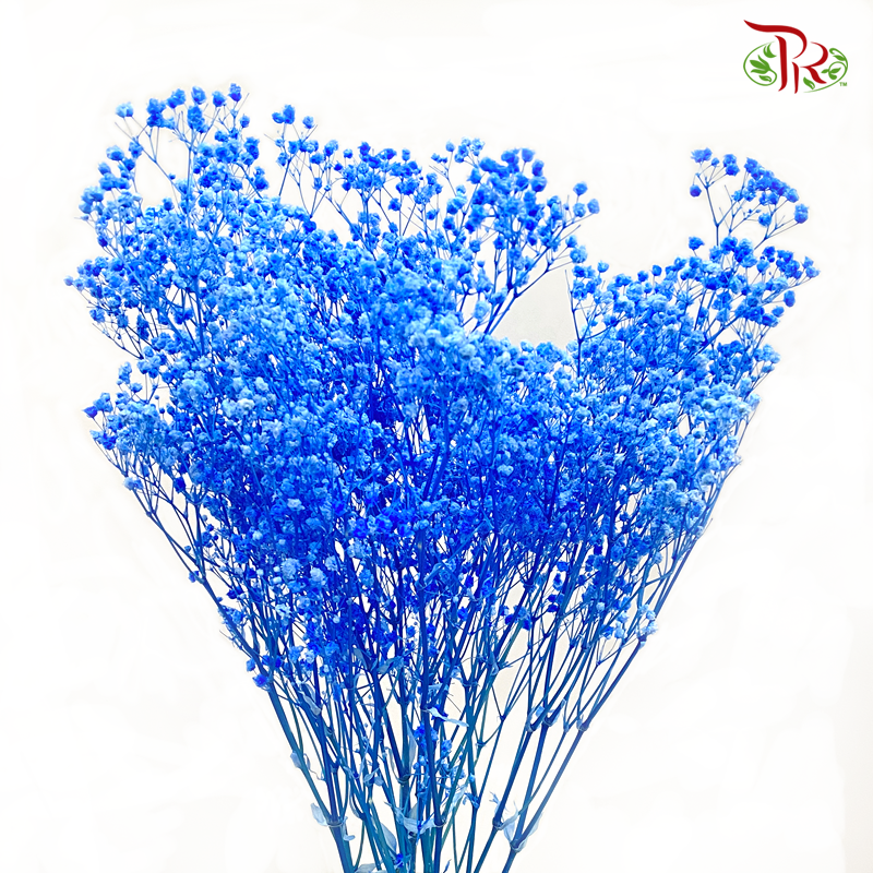 Preserved Baby's Breath - Blue (Per Bunch) - Pudu Ria Florist