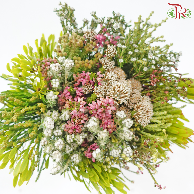 Safari Mix (Cone/Cape/River) **Random Choose Cone/Fillers