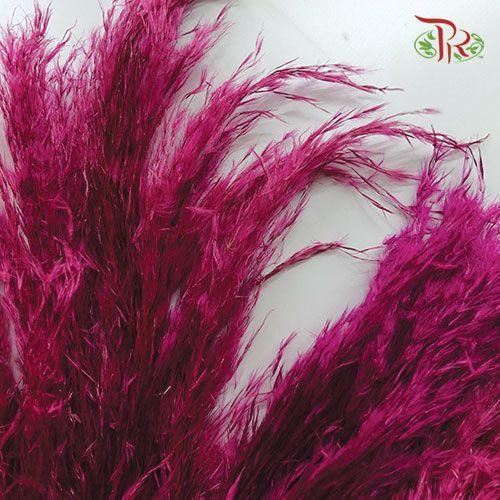 Dry Pampas Bleached / Colour - Red - Pudu Ria Florist