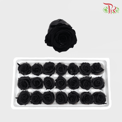 21 Bloom Rose - Black-Black-China-prflorist.com.my