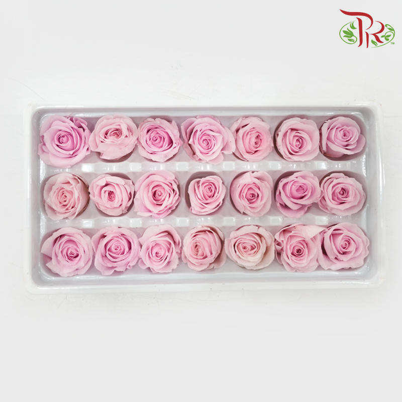 21 Blooms Preserved Rose