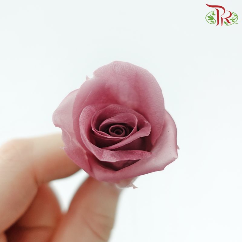 21 Blooms Preserved Rose