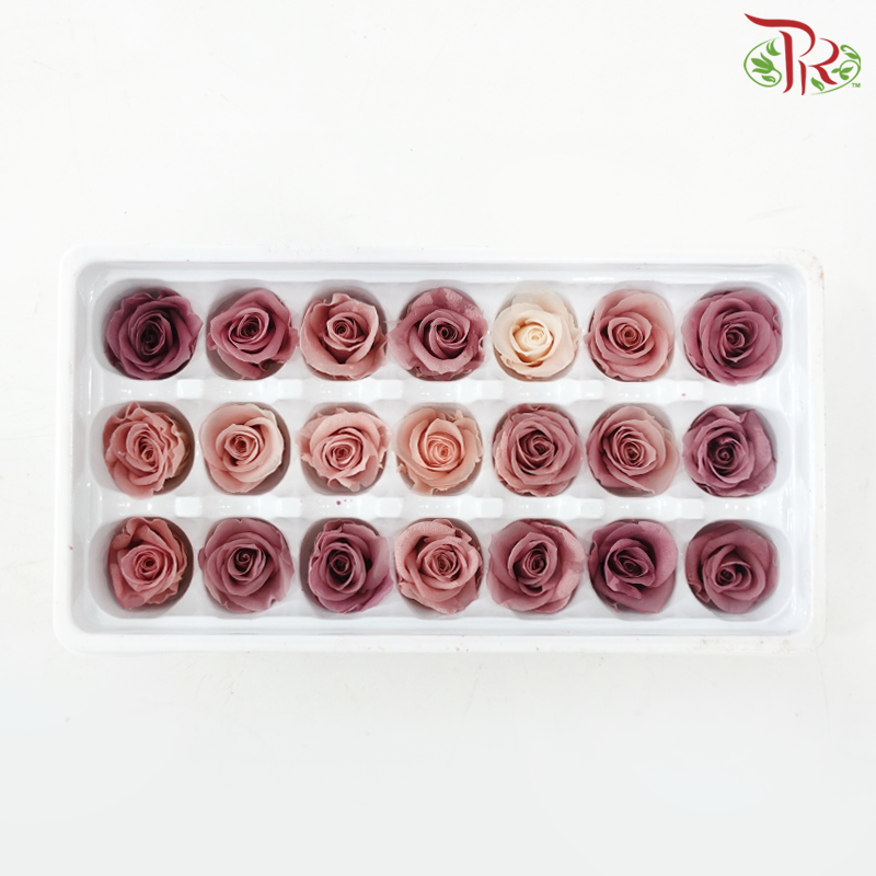 21 Blooms Preserved Rose