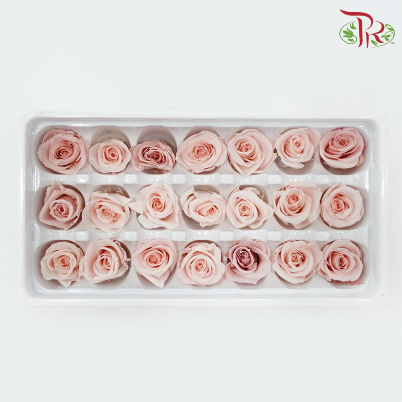 21 Blooms Preserved Rose