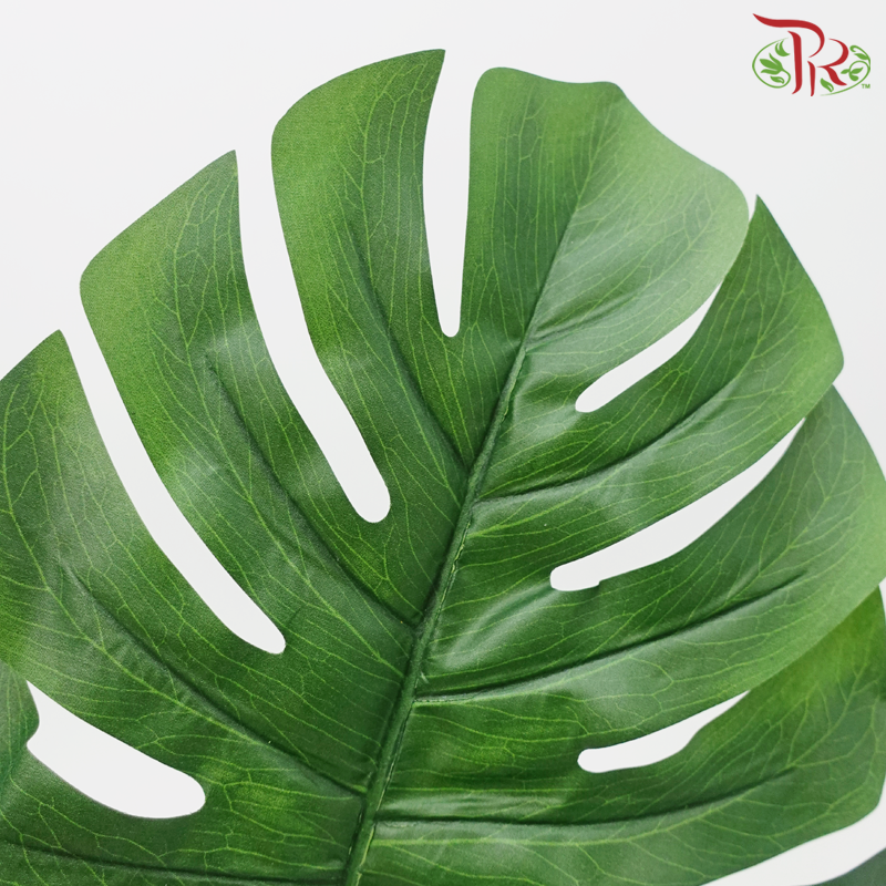 24" - Artificial Split Philo Spray - Dark Green (5 Stems)-Dark Green-Pudu Ria Florist-prflorist.com.my