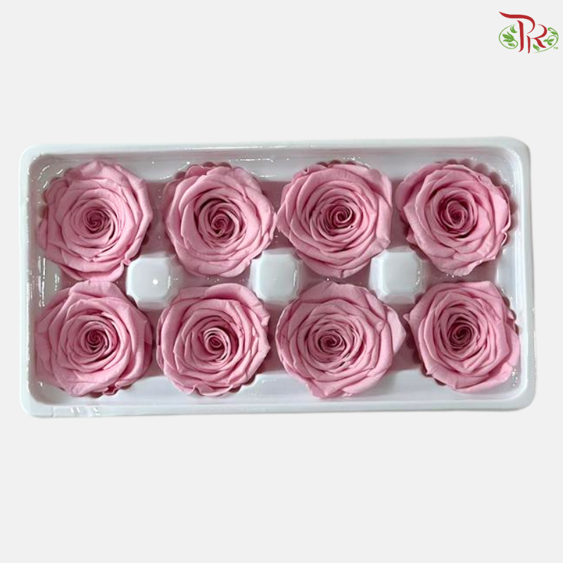 8 Blooms Preserved Rose
