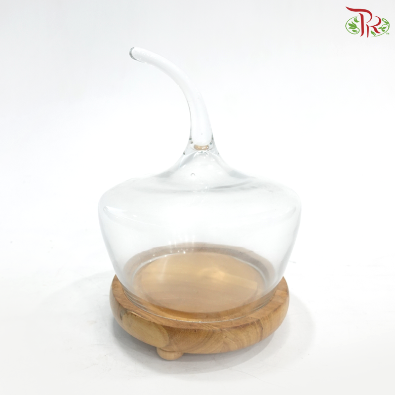 283724W - Pumpkin Shape Glass Dome