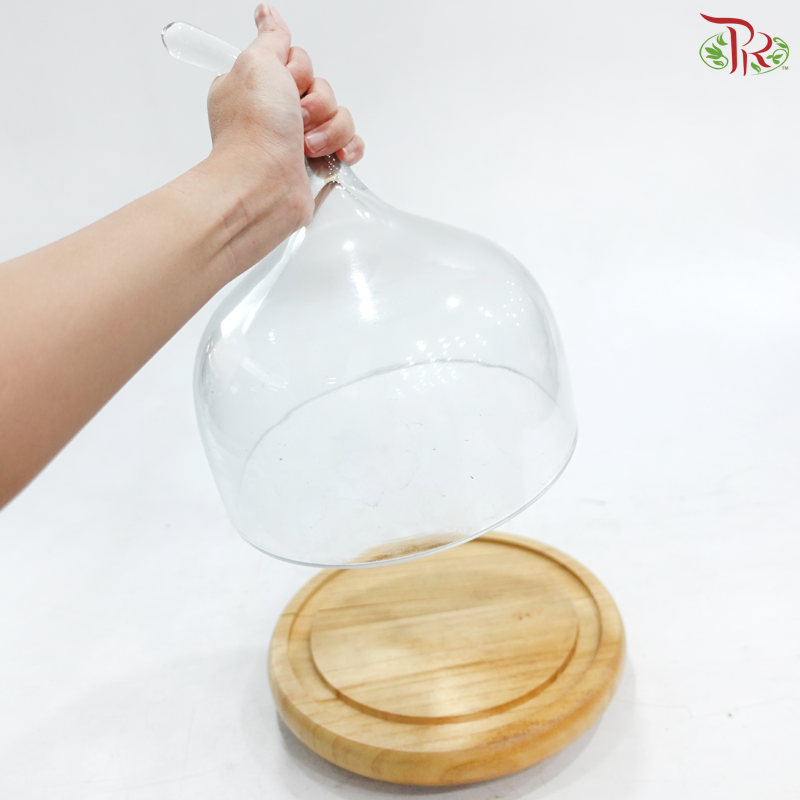 284423W - Pear Shape Glass Dome