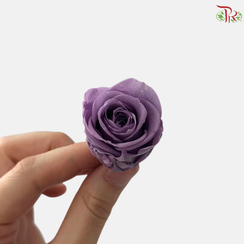 21 Blooms Preserved Rose