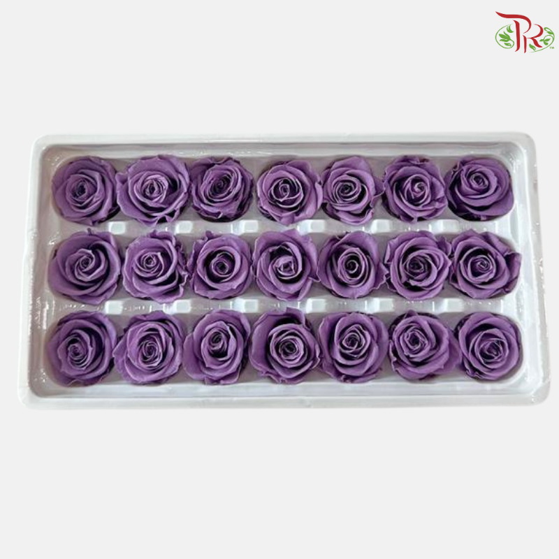 21 Blooms Preserved Rose