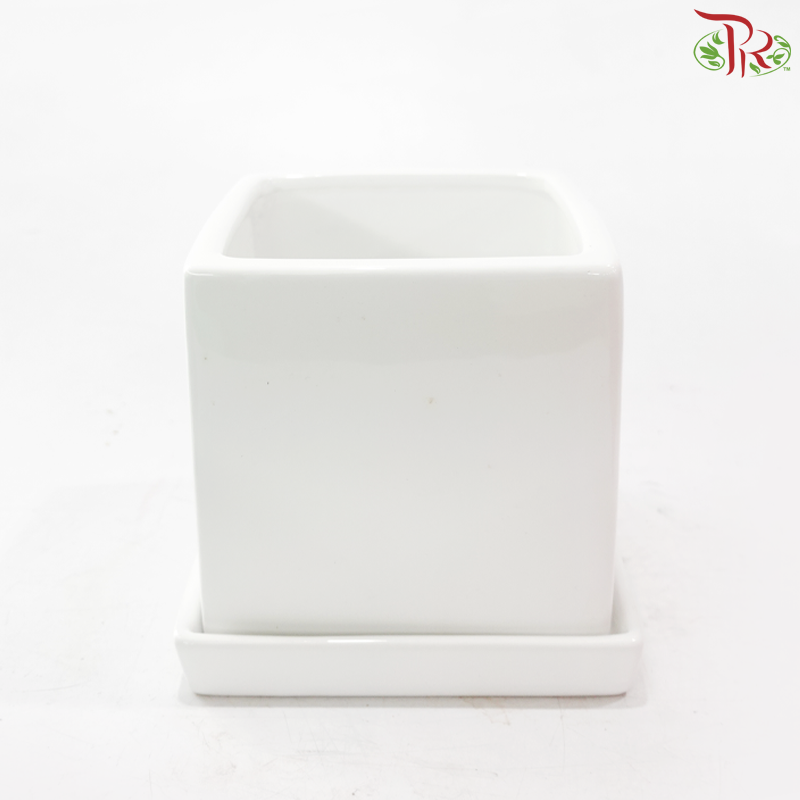 GF-8107-3 Asst Pot (With Color Options)