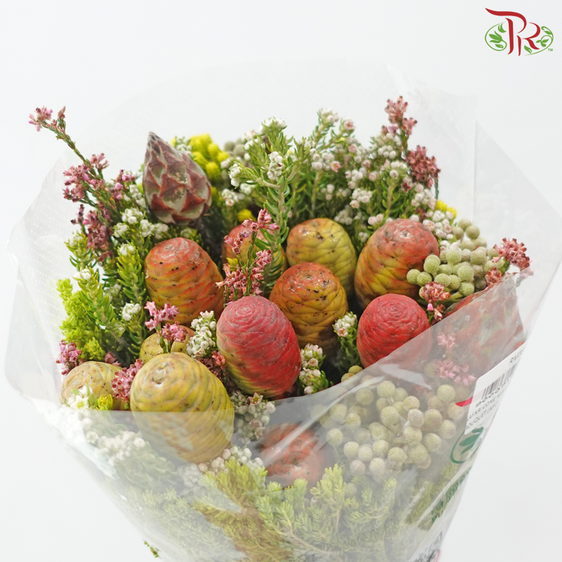 Safari Cone Mix Jumbo Bouquet *Random Choose Cone / Fillers*