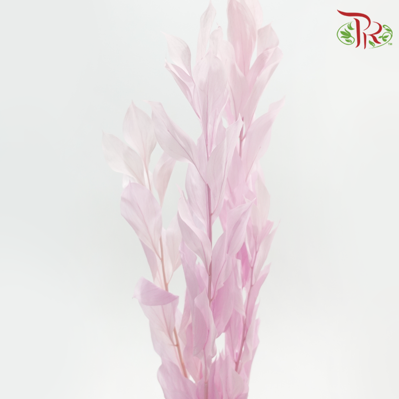 Dry Orange Leaf Dyed