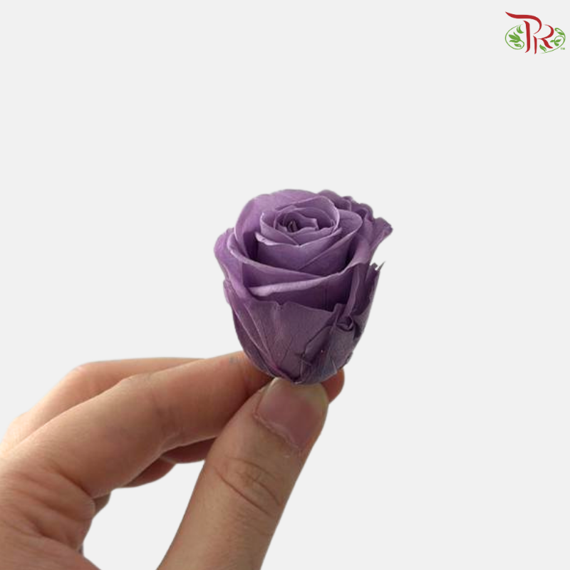 21 Blooms Preserved Rose