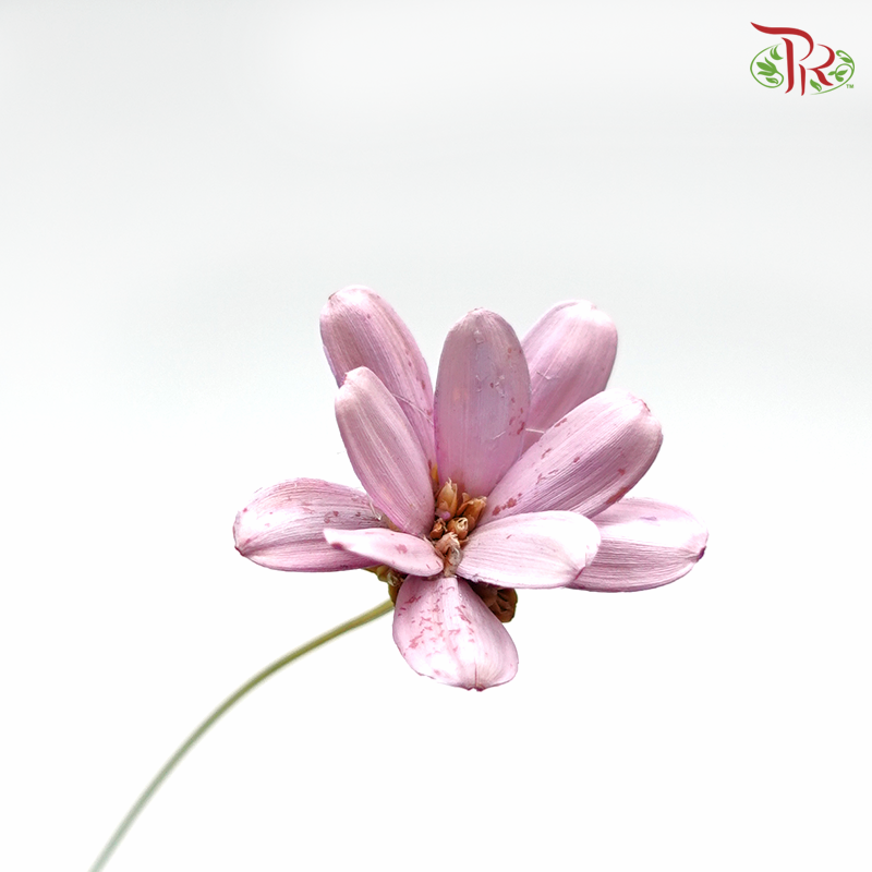 Petite Flower Preservative - Pink ( 3214-0-100 ) - Pudu Ria Florist