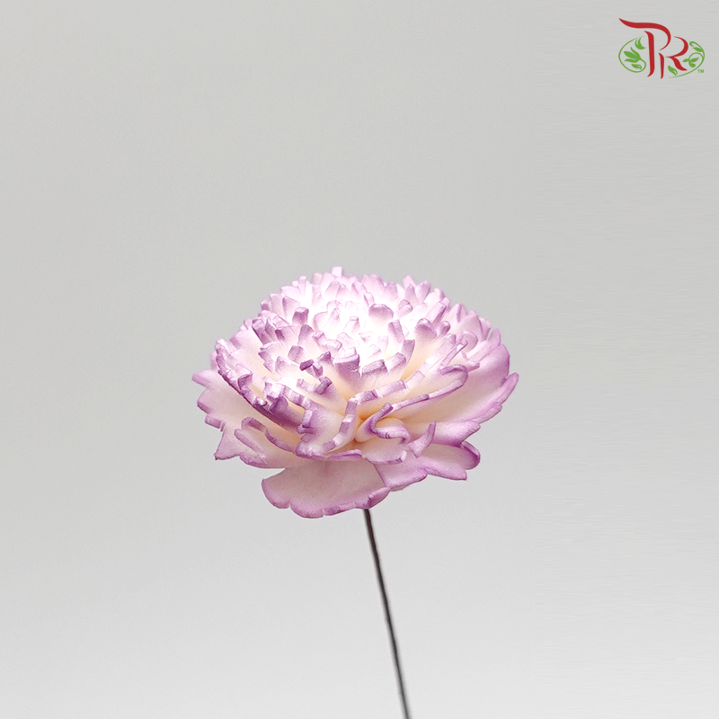Preserved Sola Chiffon Carnation - Small (Purple) (3276-4-403) - Pudu Ria Florist