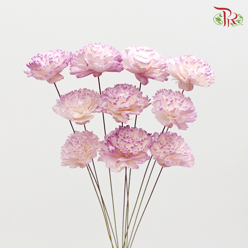 Preserved Sola Chiffon Carnation - Small (Purple) (3276-4-403) - Pudu Ria Florist