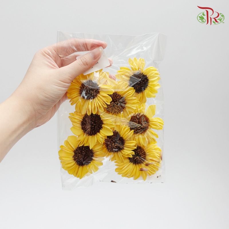 Preserved Sola Himawari - 8 pcs (3277-0-500) - Pudu Ria Florist