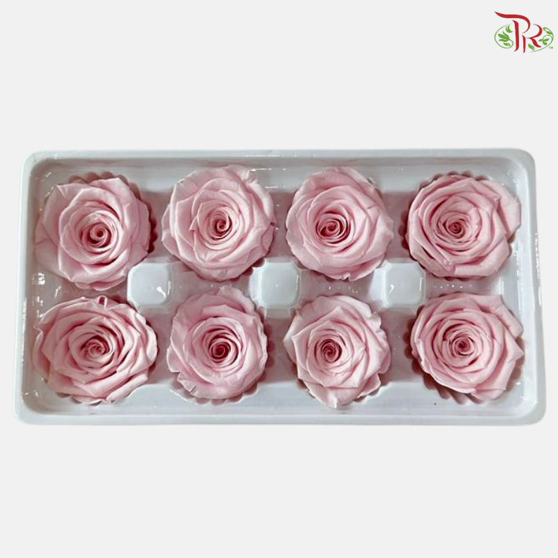 8 Blooms Preserved Rose